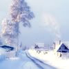 white&cold winter iconz }-~●,