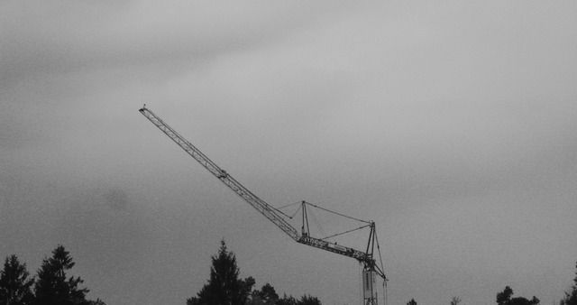 photo IMG_3162_zpsy32drfsp.jpg