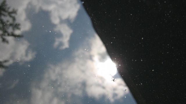 photo IMG_3268_zpskqxd1bcr.jpg