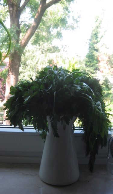photo IMG_3362_zps4ocwoqhq.jpg