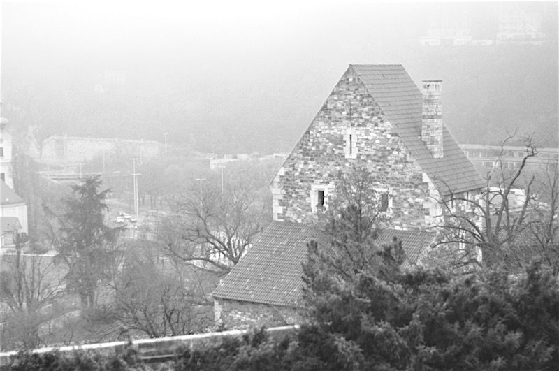 photo DSC_6561_zpskjk3hfb6.jpg