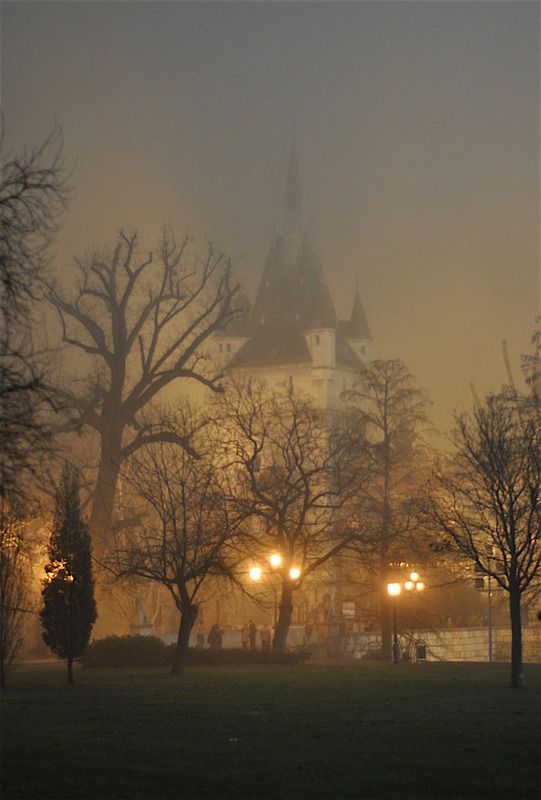 photo DSC_6579_zpsckoztqoi.jpg