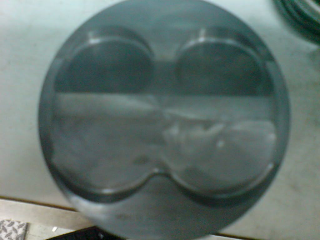 DSC00856.jpg