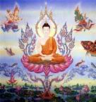 Buddha Pictures, Images and Photos