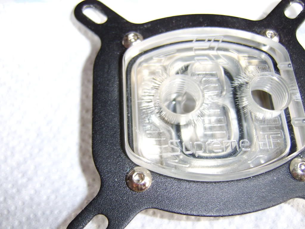 STA76417.jpg