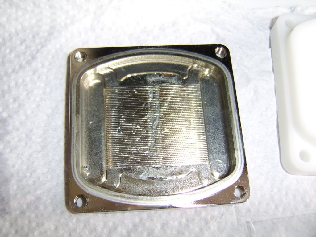 STA76419.jpg