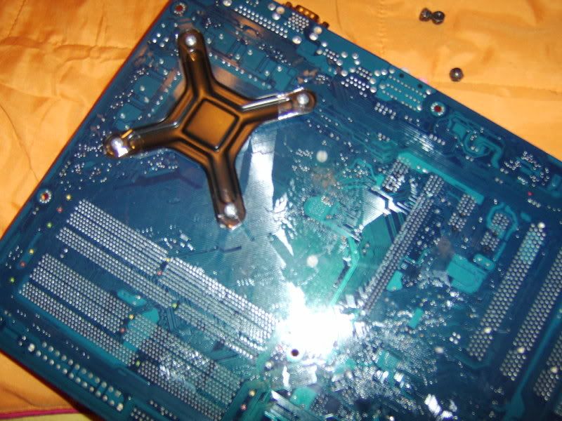 backplate.jpg