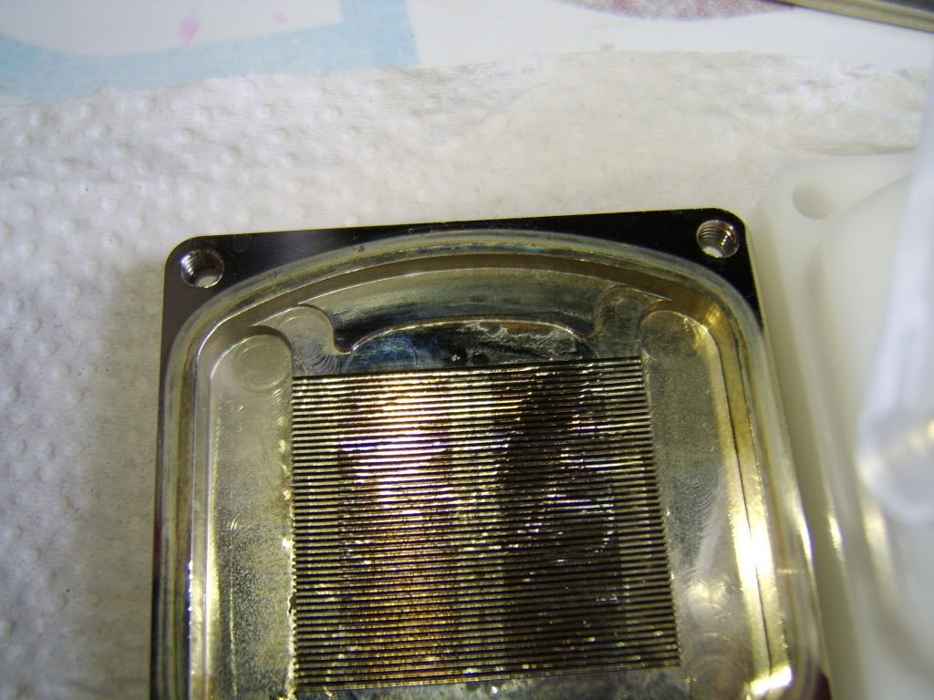 coppertop.jpg