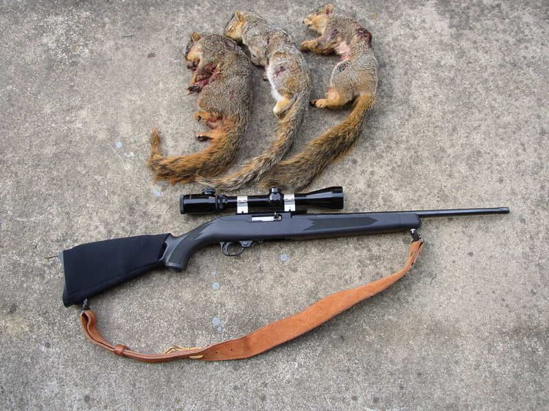 Installing sling swivel on a Ruger 10/22 Long Range Hunting Forum