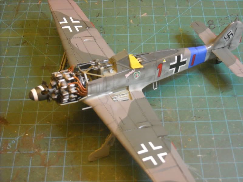 fw-25.jpg picture by sidure