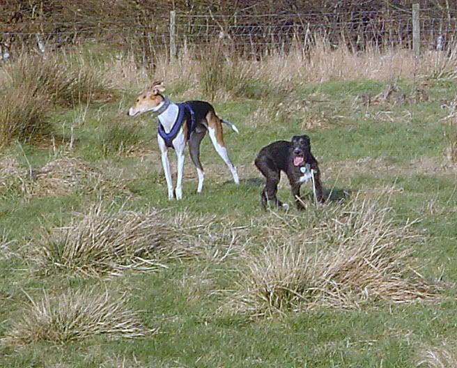 DSC02388.jpg