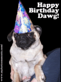 birthday-1.gif