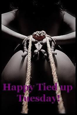 Tied up tuesday 2