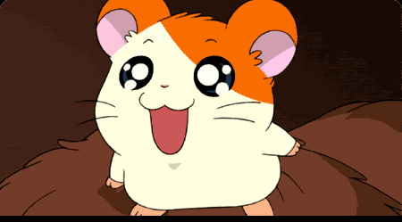 Hamtaro Pictures, Images and Photos