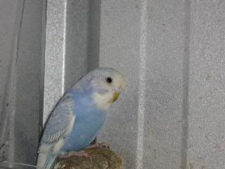 baby3.jpg