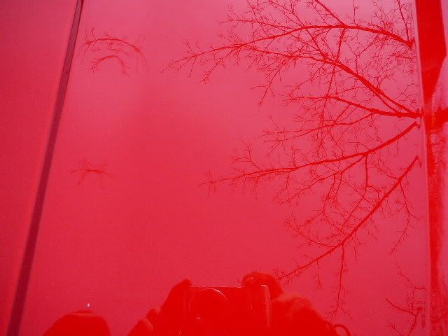 P1030663.jpg
