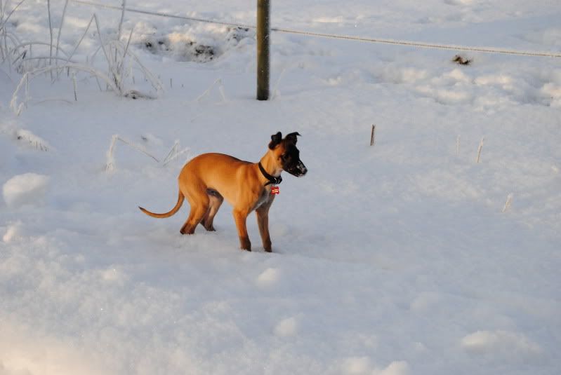 DSC_0114.jpg