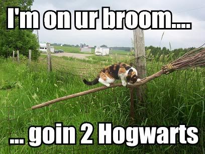 im-on-ur-broom-goin-2-hogwarts.jpg