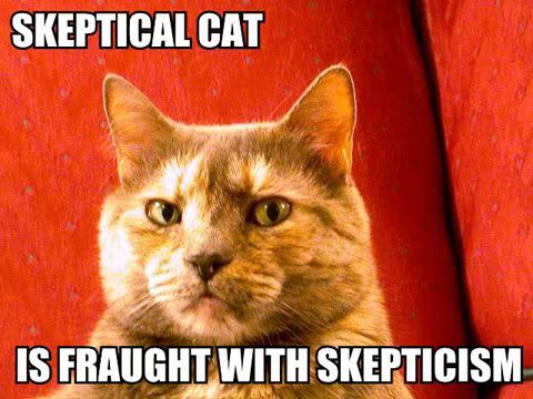 skeptical-cat.jpg
