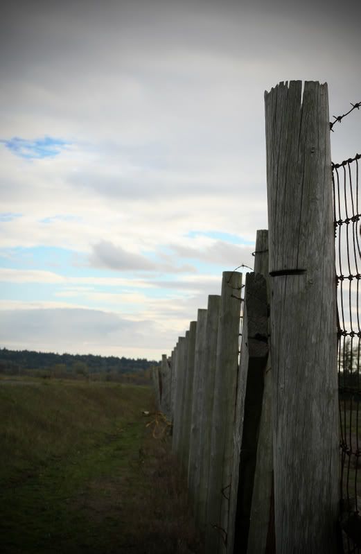 IMAGE: http://i112.photobucket.com/albums/n175/nkonyi/oct_24_06copy.jpg