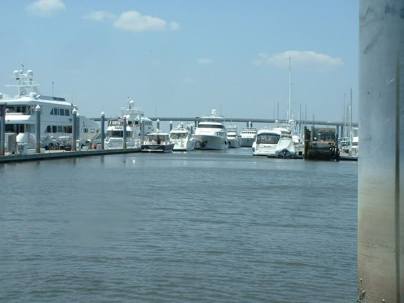 marinapics004.jpg