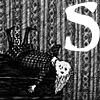 s.jpg