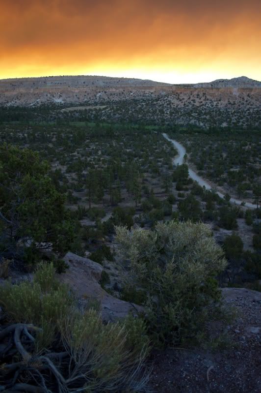 Fires in the Jemez (Albuquerque, Los Alamos renting, house, allergy