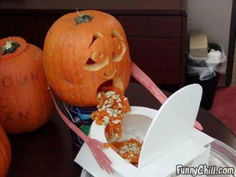 Vomit pumpkin Pictures, Images and Photos