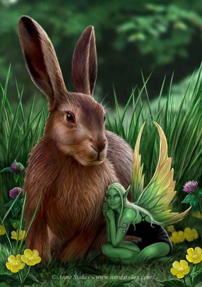 Hare and Sprite Pictures, Images and Photos