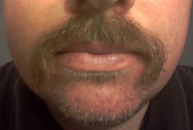 TheStache.jpg