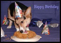 happy birthday dog Pictures, Images and Photos