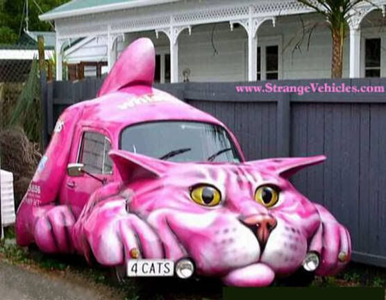 funny cat car mobile