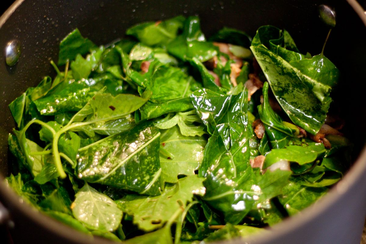 Chard, Amaranth and Lambsquarter Greens The Domestic Man