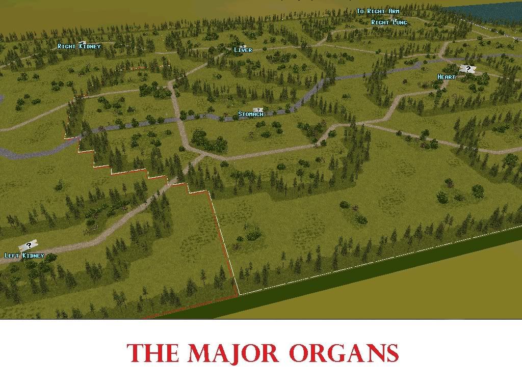 [Image: Organs.jpg]