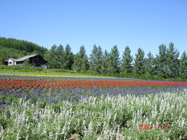 DSC03097.jpg