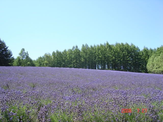 DSC03126.jpg