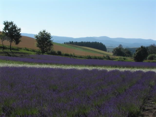 PIC_0517.jpg
