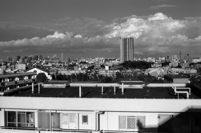 10F (c) shimokita