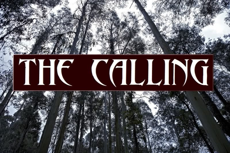 The Dark Horde - The Calling