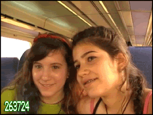1.gif