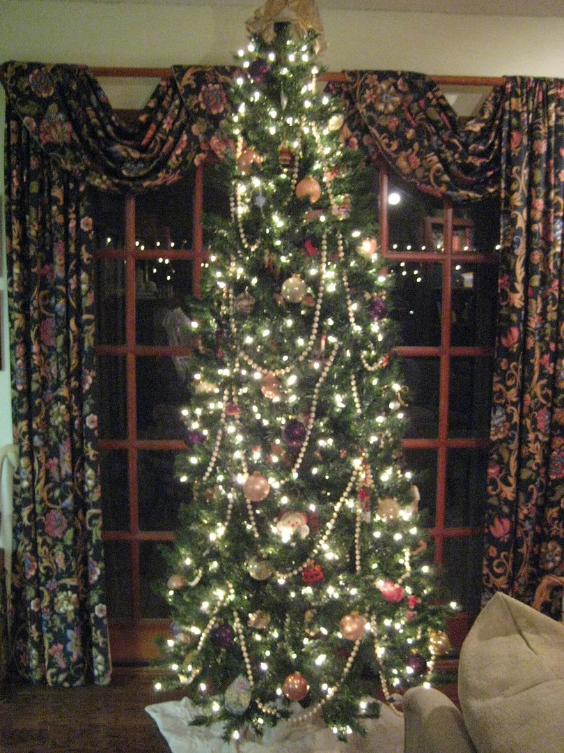 Family Room Tree Pictures, Images and Photos