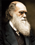 http://i112.photobucket.com/albums/n185/jessi_i/charles-darwin.gif