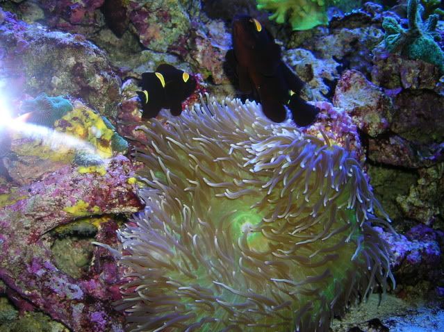 DSCN2278.jpg