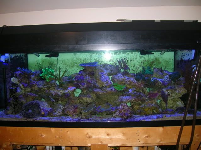 DSCN2292-1.jpg