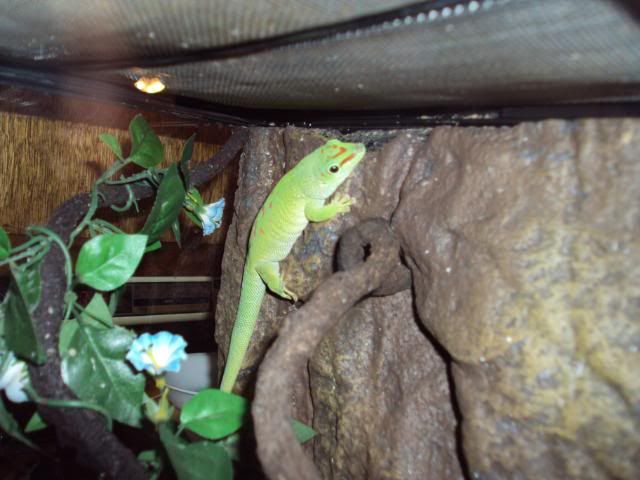 DSC00745.jpg