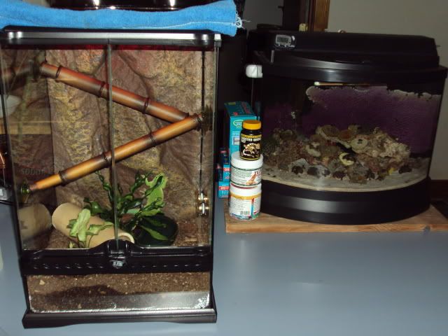 DSC00773.jpg