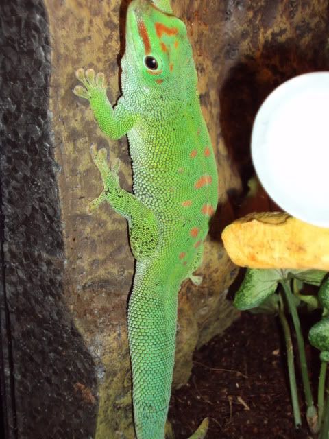 DSC00799.jpg