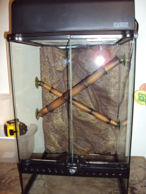 DSC01051.jpg