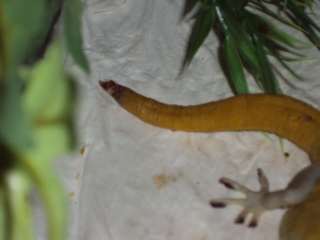 DSC01357.jpg
