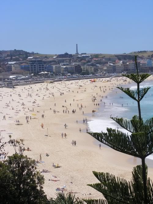 Bondi4.jpg